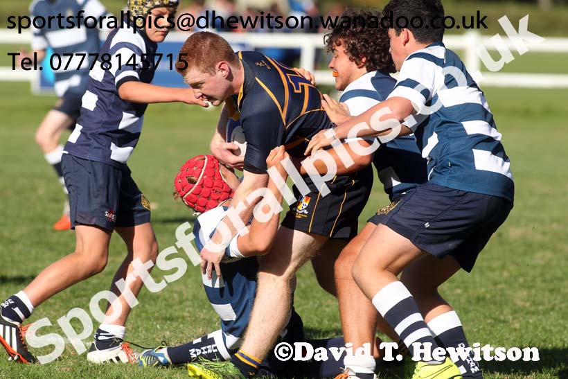 2014 Tynedale RFC School Rugby Festival. Photo: David T. Hewitson/Sports for All Pics
